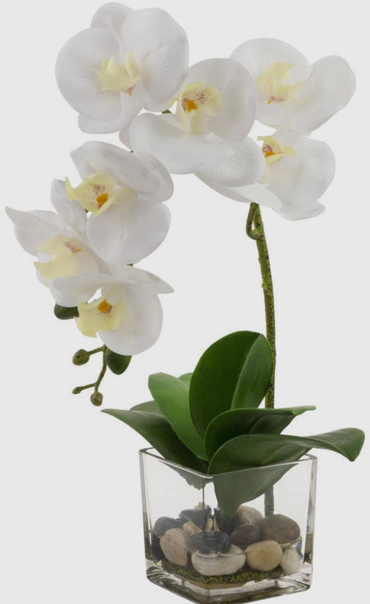 Faux White Orchid