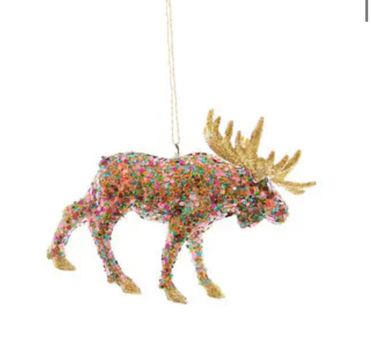 Cody Foster CONFETTI MOOSE